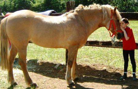 Csepinerologir.it powered by euweb.it Amazzone tende x bambine