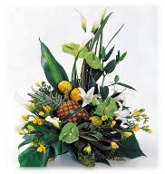comp. fiori e frutta