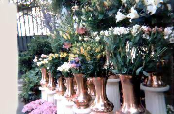 esposizione fiori
