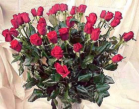 Bunch red roses