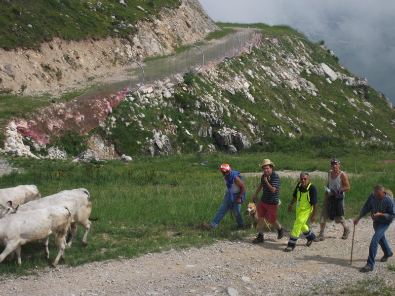 Salita Alpeggi 2012