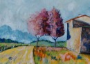 PAESAGGIO_CAMPAGNOLO * 699 x 504 * (77KB)