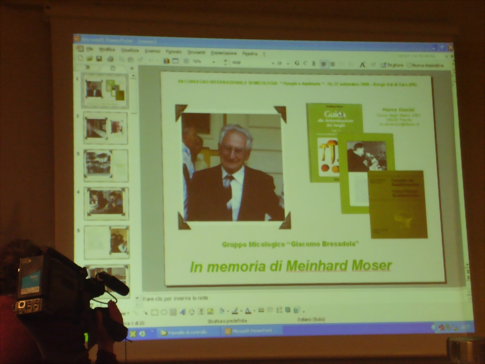 Commemorazione del prof. Meinhard Moser.