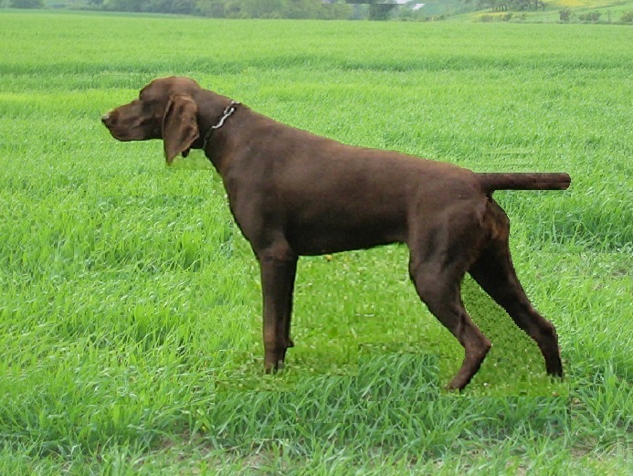 Camp.Malù