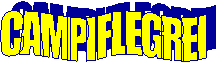 CAMPIFLEGREI