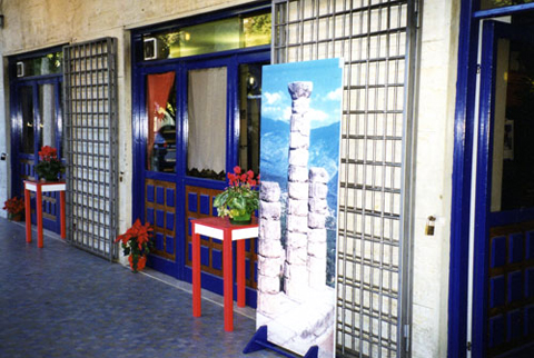 Torna alle miniature